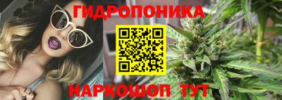 шишки Рузаевка