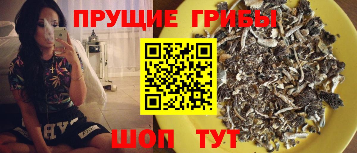 Галлюциногенные грибы мицелий  Вход с VPN  Псилоцибиновые грибы Psilocybine cubensis  даркнет сайт  Светлоград 